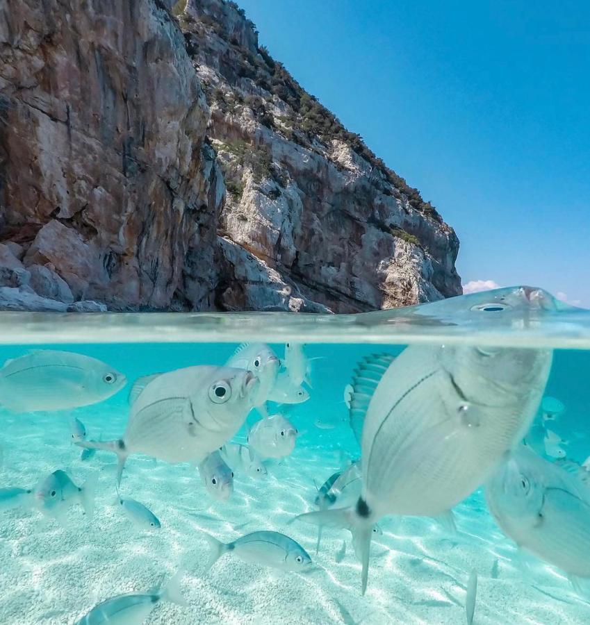 Appartement Cala Gonone, Casa I Pini Extérieur photo