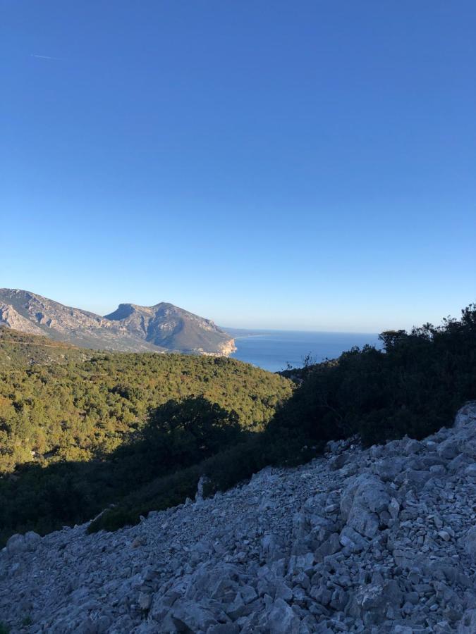 Appartement Cala Gonone, Casa I Pini Extérieur photo