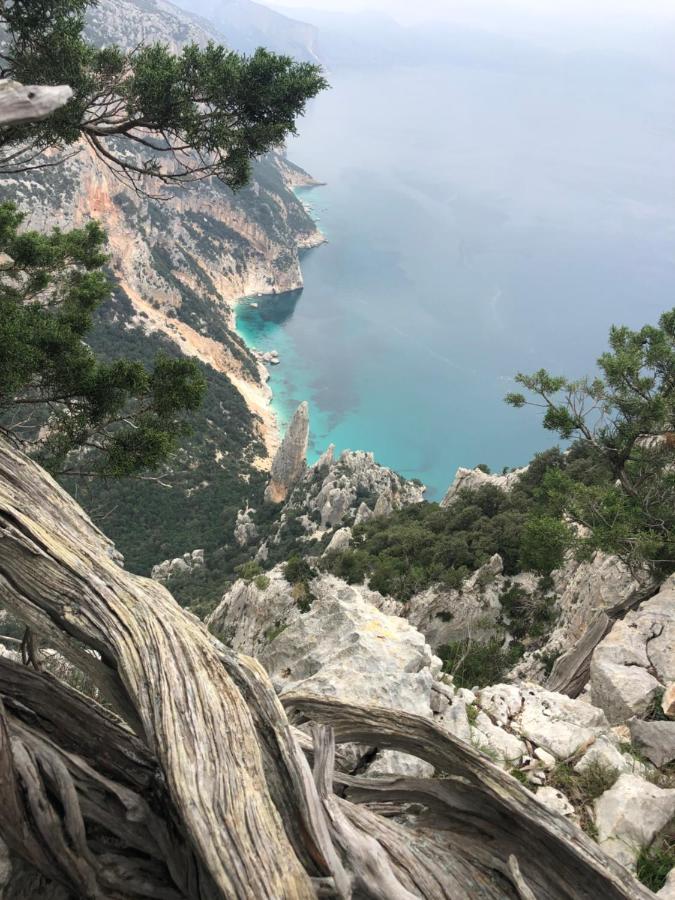 Appartement Cala Gonone, Casa I Pini Extérieur photo